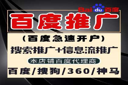 竞价推广公司的策略布局：某行业领导品牌的成功案例